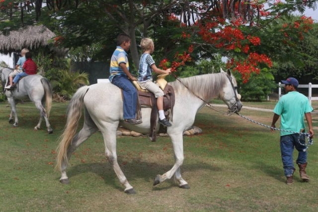 Interaccion con caballos